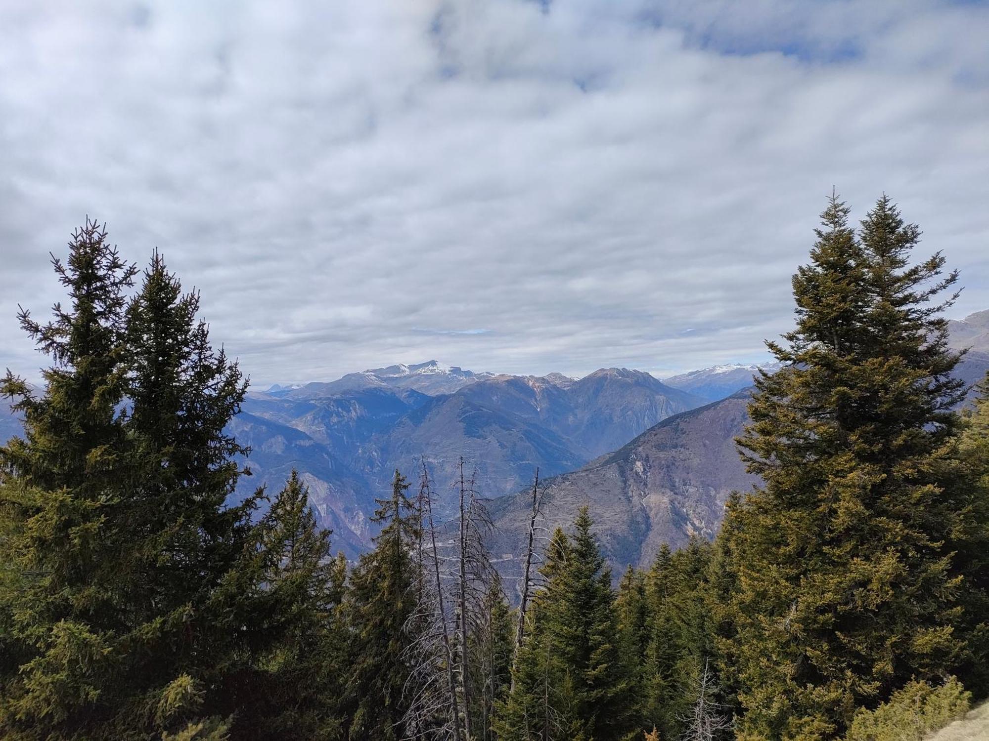 Chambres D'Hotes Le Grand Chalet Valdeblore Kültér fotó